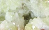 Gemmy, Yellow-Green Adamite Crystals - Durango, Mexico #65315-2